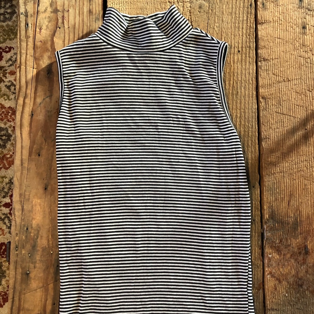 Striped Turtle Neck